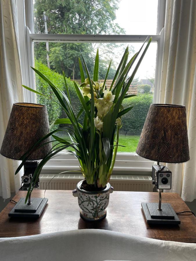 Homestay Ellesmere House *