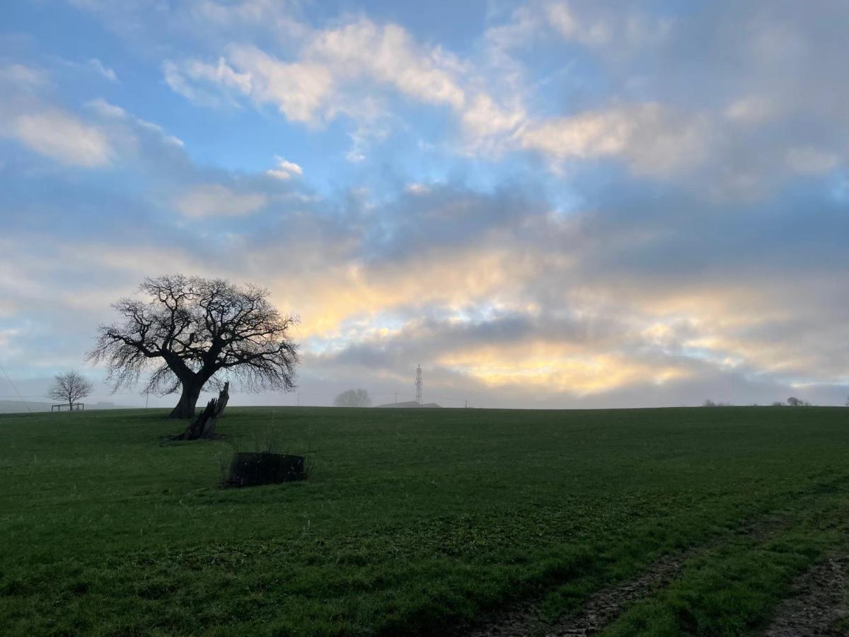 Homestay Ellesmere House Castle Cary